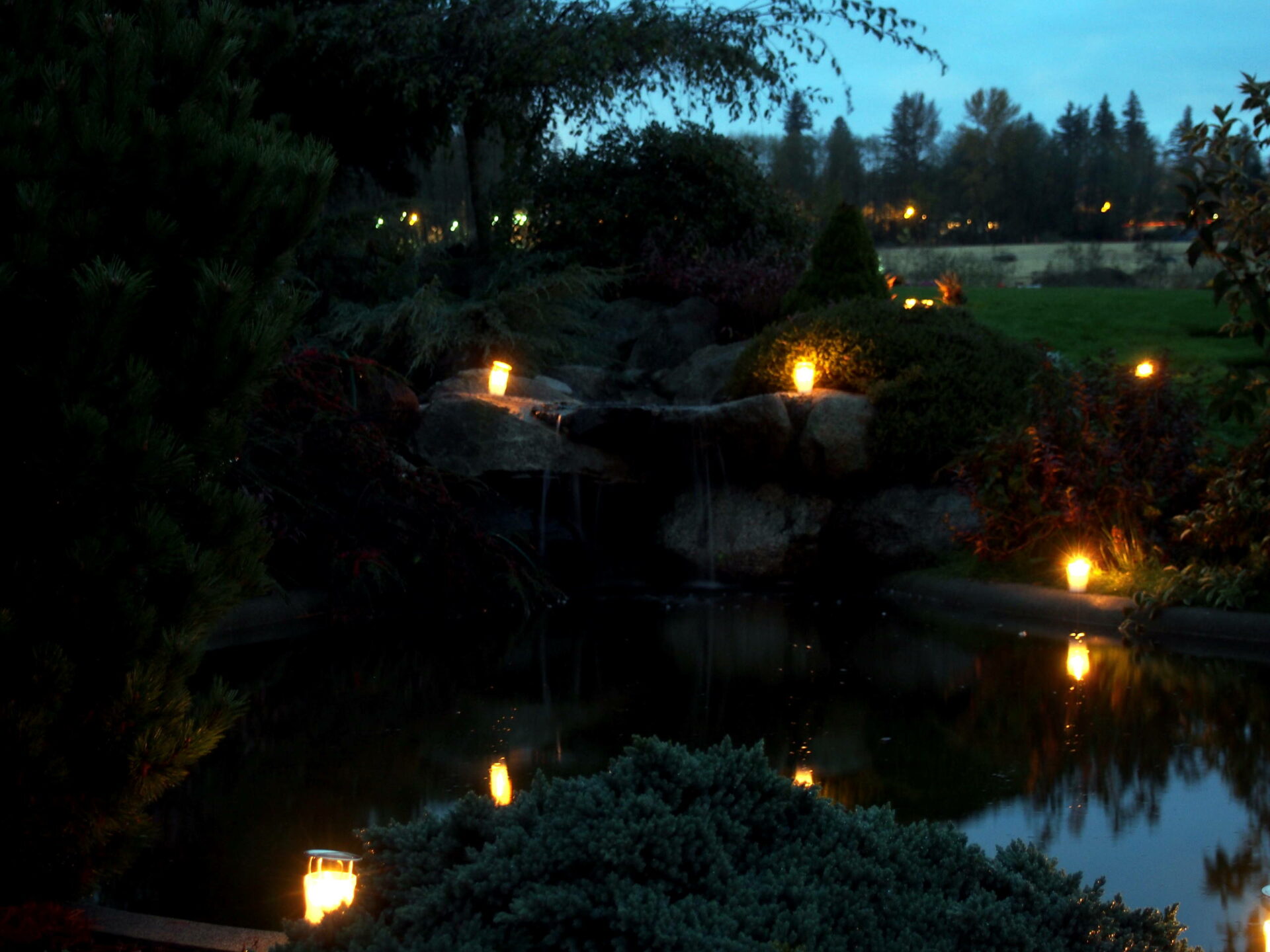Gardens at Night