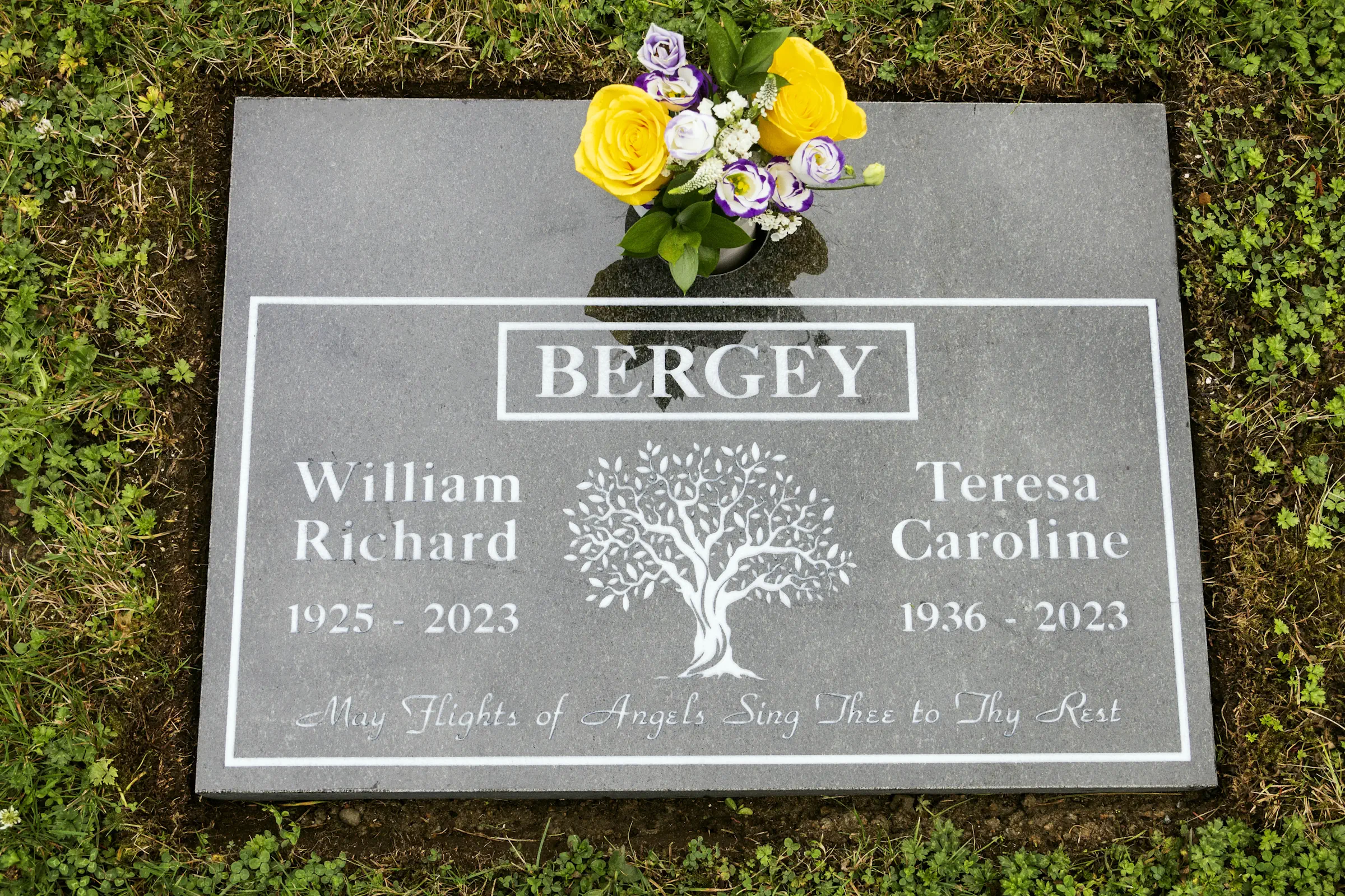 Full Body Plot Impala Grey Granite